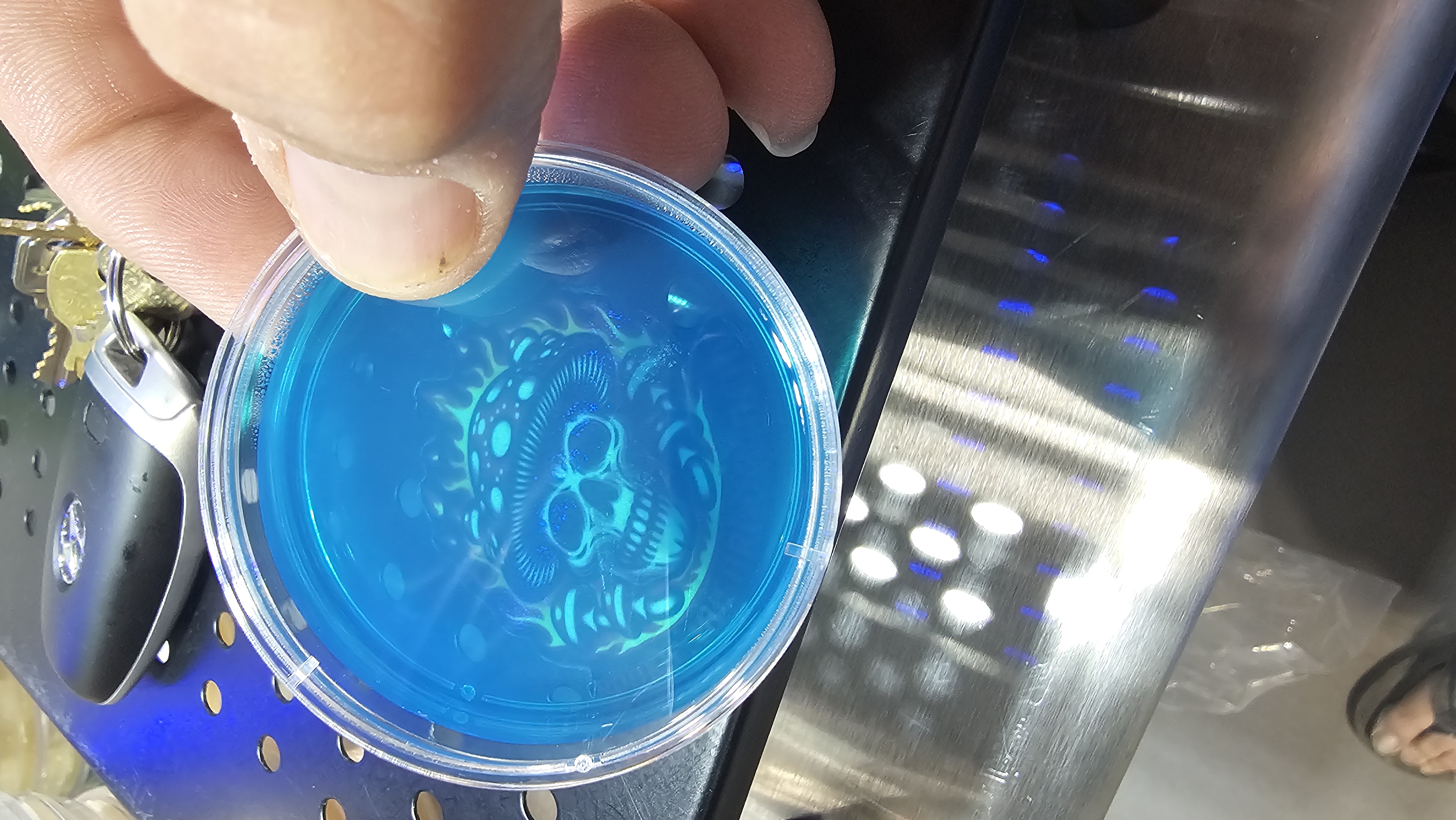 60mm Sorghum based agar plates