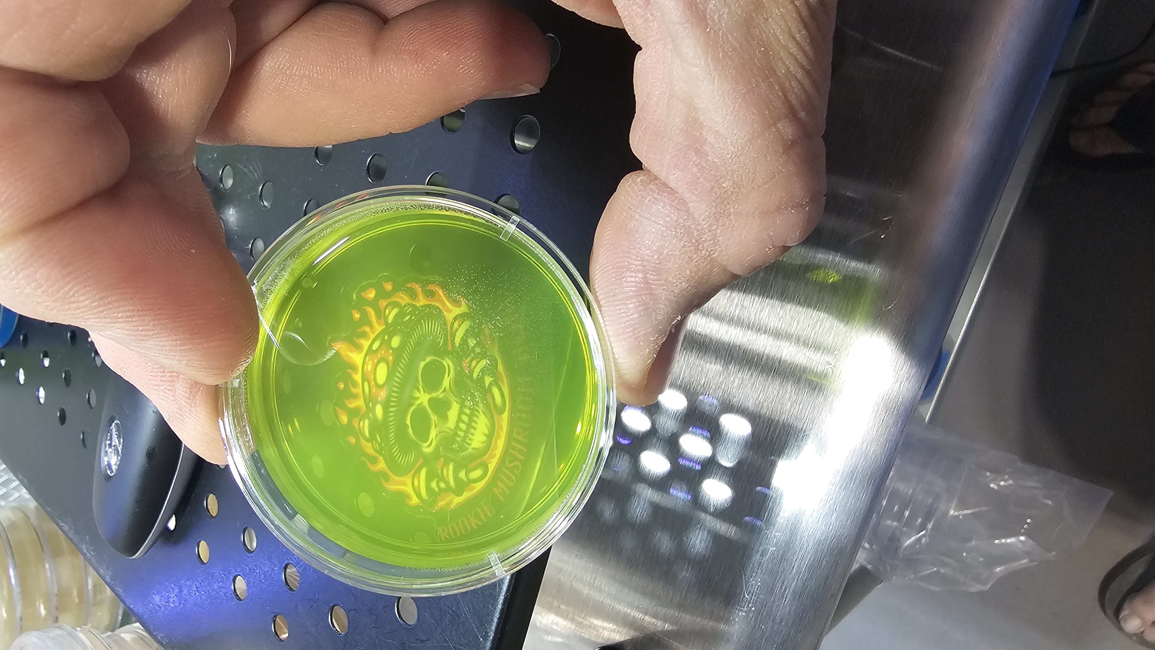 60mm Sorghum based agar plates