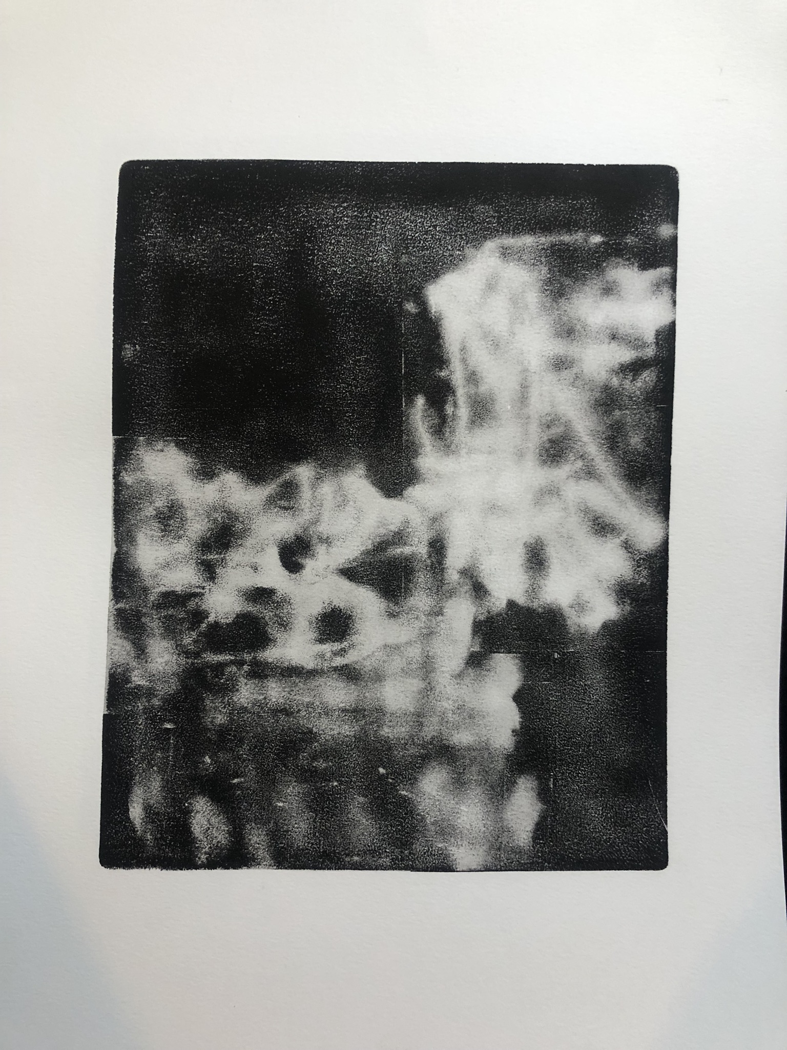 Monotype Untitled Abstract 2