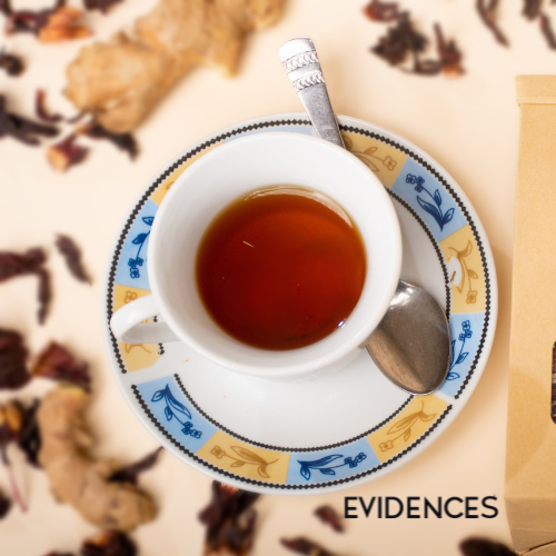 Tisane Fleur du Prince EVIDENCE _ Burkina Faso