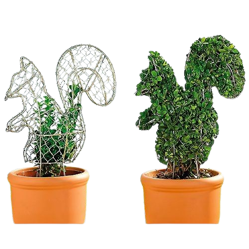 Живи фигури за влечащи растения