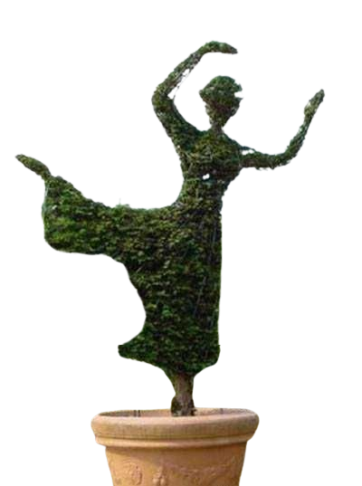 Живи фигури за влечащи растения 