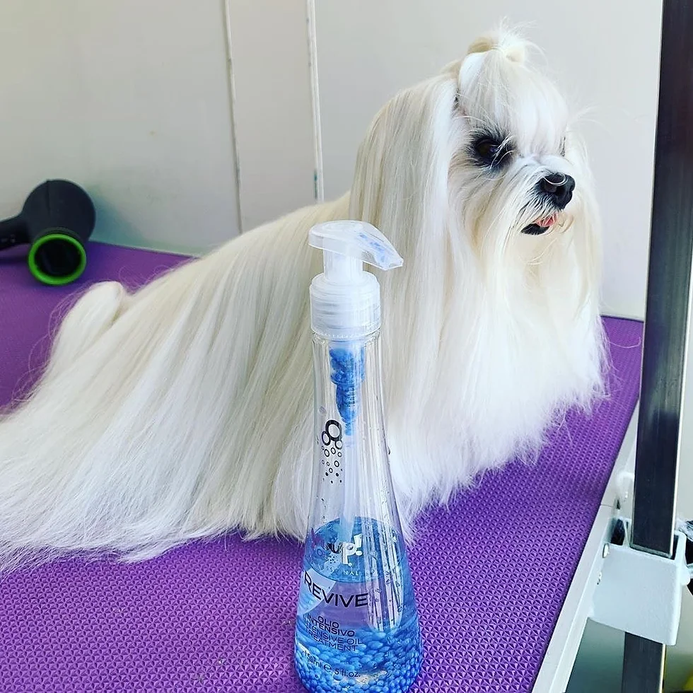 Yuup! Revive Intensive Oil 150ml -Daugiafunkcinė maitinamoji priemonė iššukavimui, blizgesiui ir kailio drėkinimui, atstatymui.