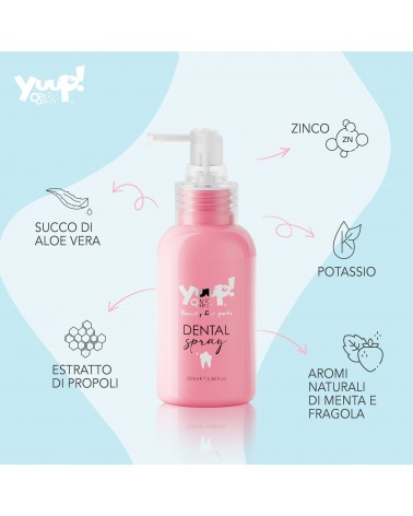 Yuup Dental spray 100ML - dantų priežiūros priemonė. 