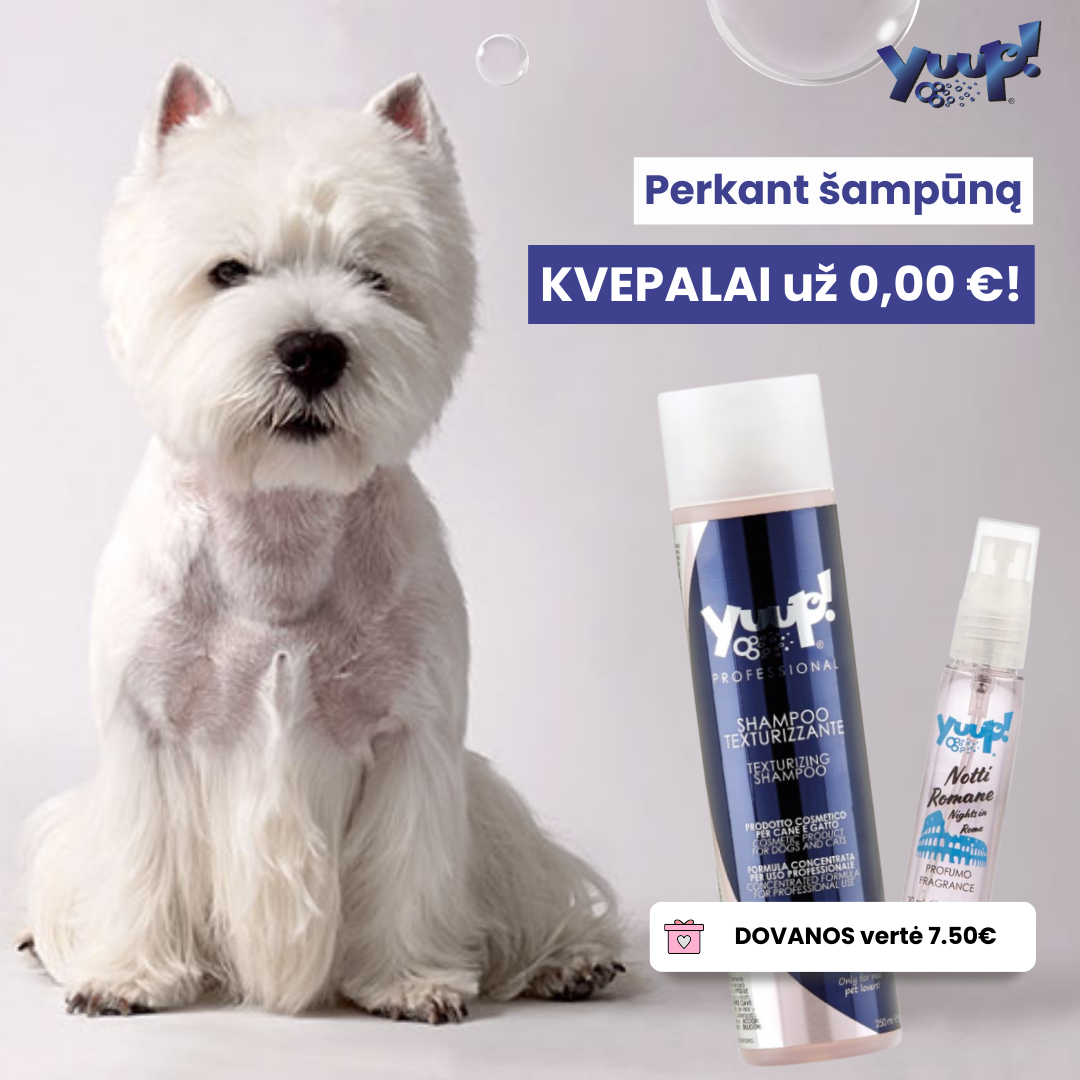 Yuup! Professional – Texturizing Shampoo -šampūnas suteikiantis tekstūros 250ml