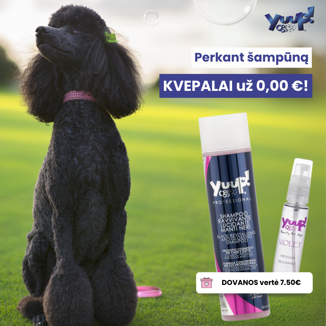 Yuup! Black Revitalising & Glossing Shampoo - šampūnas ryškinantis tamsios spalvos plaukus šunims ir katėms 250ml