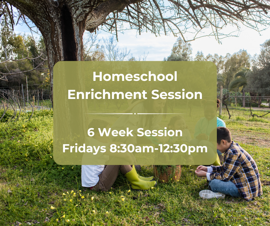 Homeschool Enrichment Session