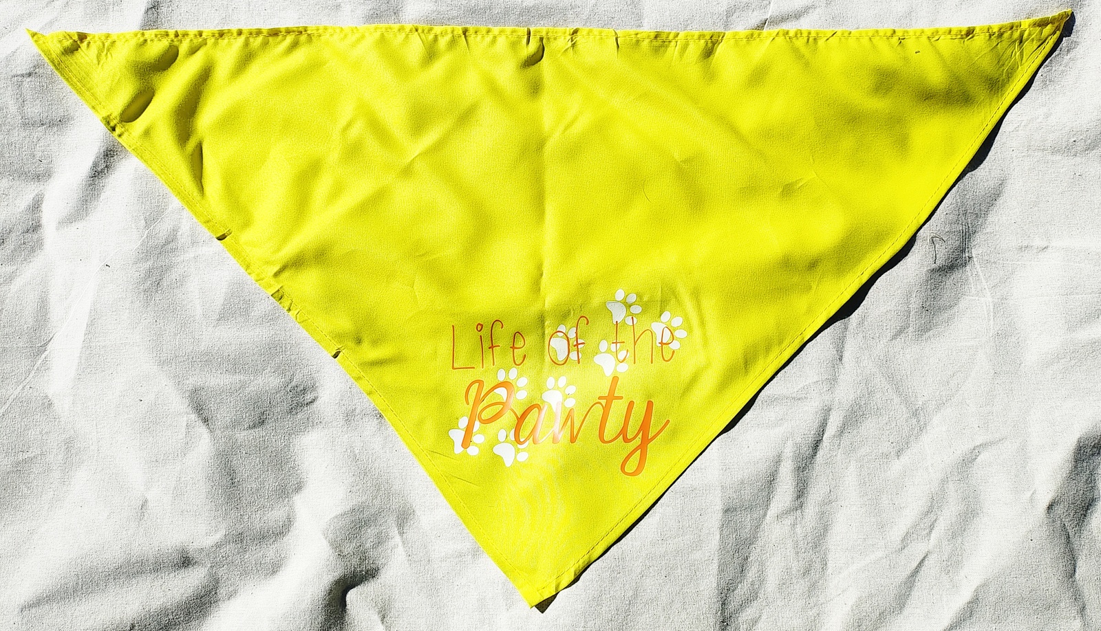 Medium Yellow Life of the Pawty Dog Bandana Scarf - Fun Hipster Dog's Clothes