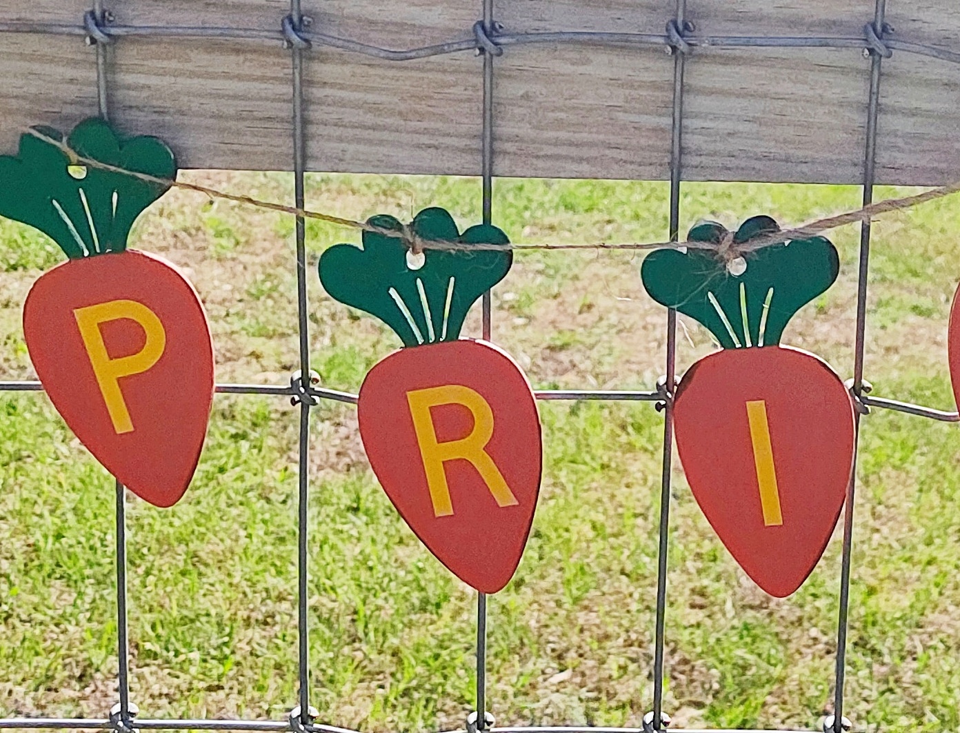 Handmade Spring Wooden Carrot Banner 