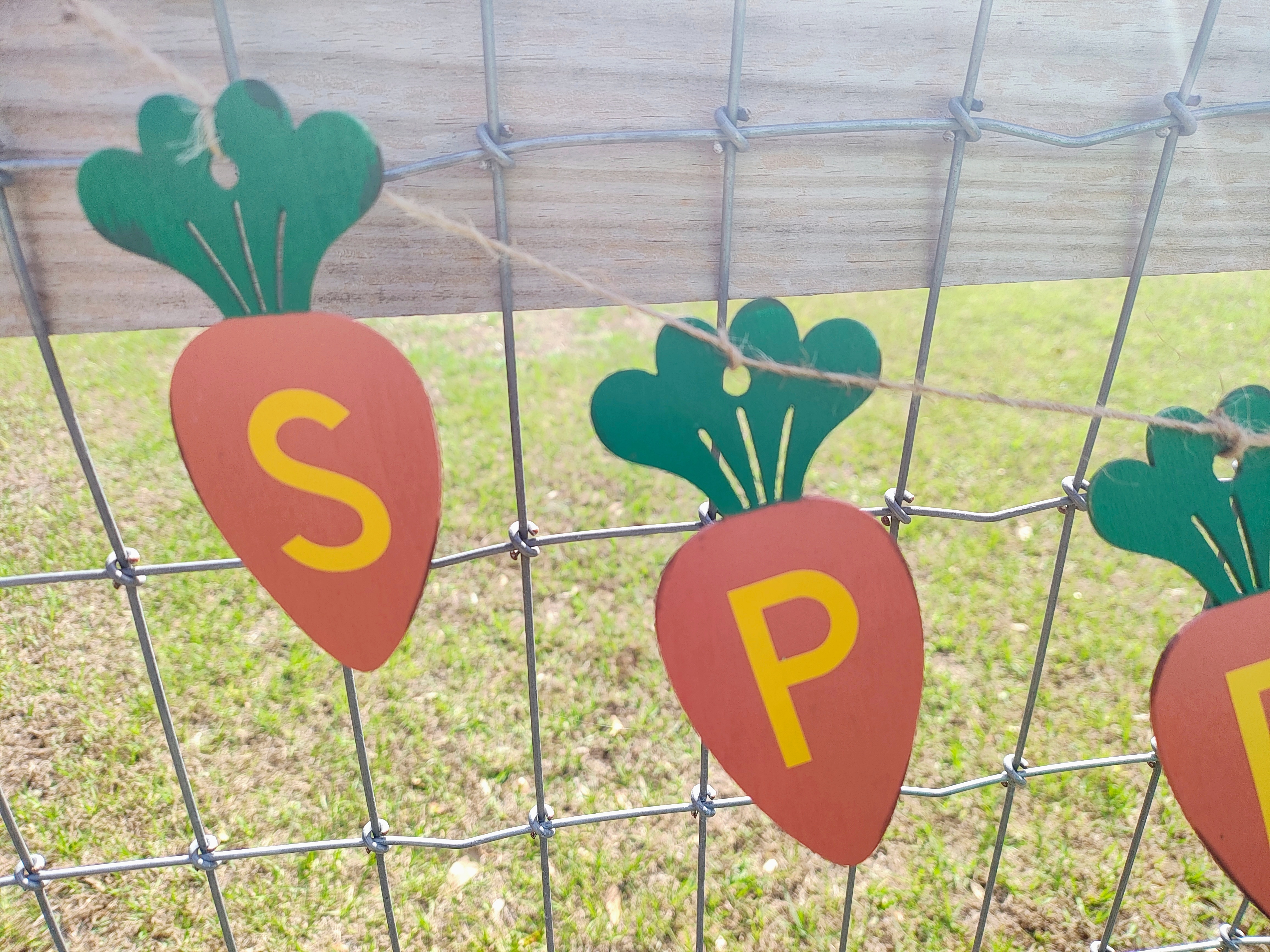 Handmade Spring Wooden Carrot Banner 