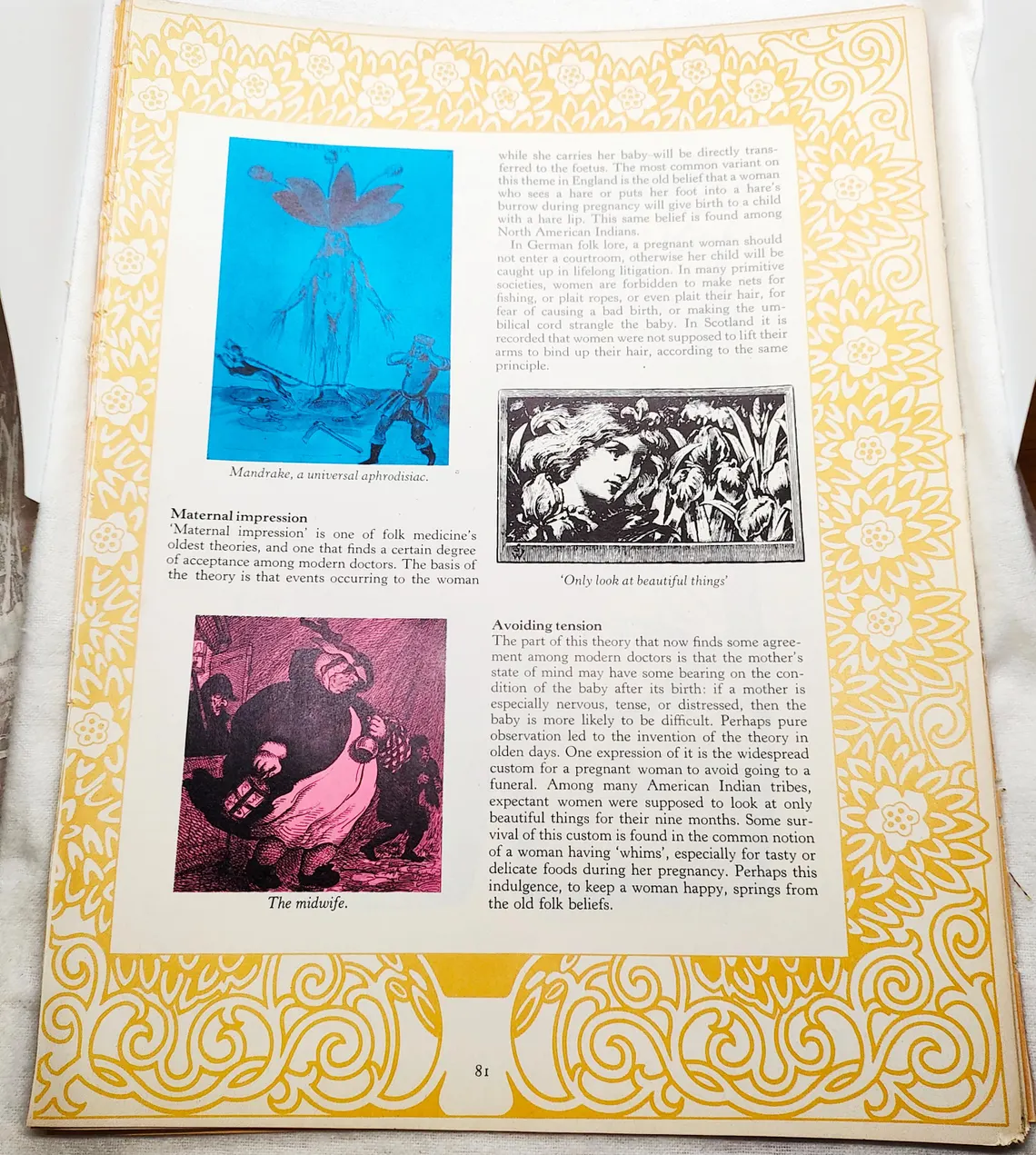Vintage Book Page Bundle for Junk Journals - Folk Medicine Theme Collage Pages