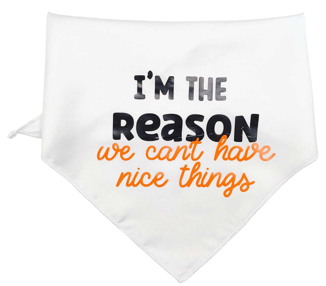 Medium I'm the Reason We Can't Have Nice Things Dog Bandana Scarf 