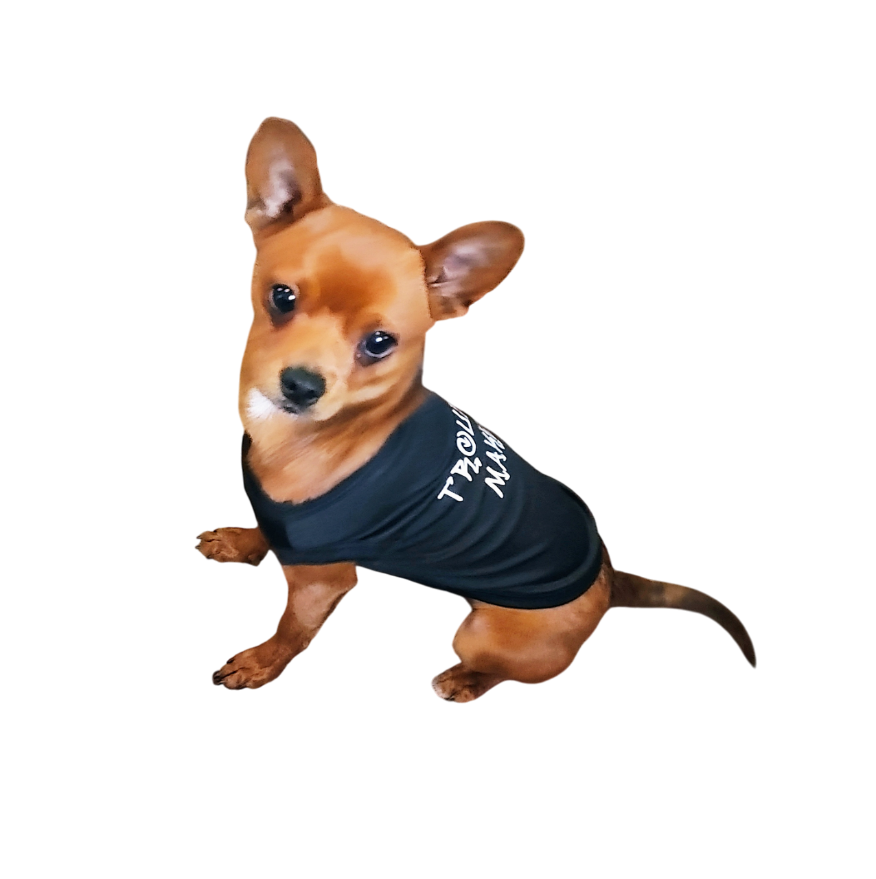 Small Green Weirdo Graphic Dog T-Shirt Clothes