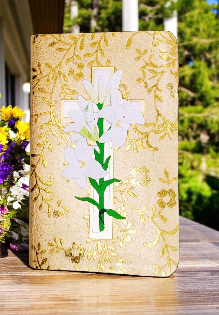 Christian Hand-Covered Pocket Bible - New Testament, Psalms, Proverbs 
