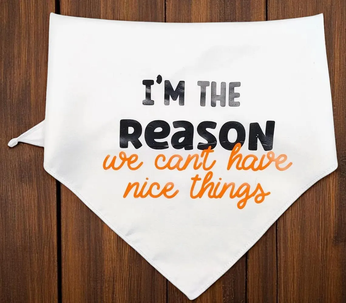 Medium I'm the Reason We Can't Have Nice Things Dog Bandana Scarf 