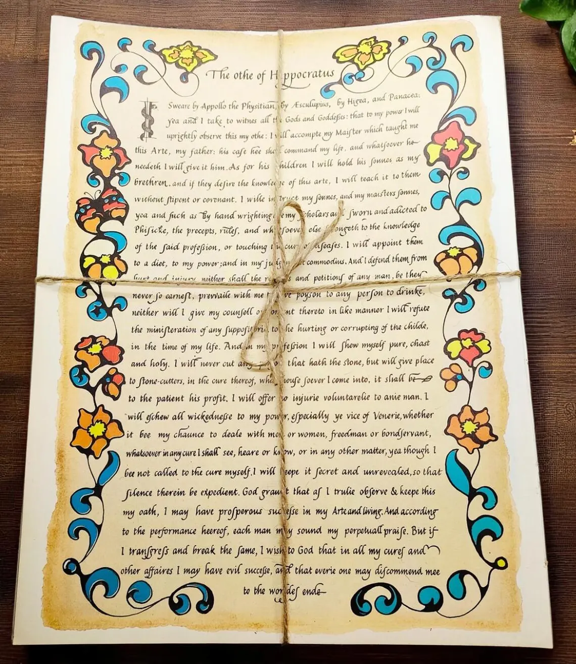 Vintage Book Page Bundle for Junk Journals - Folk Medicine Theme Collage Pages