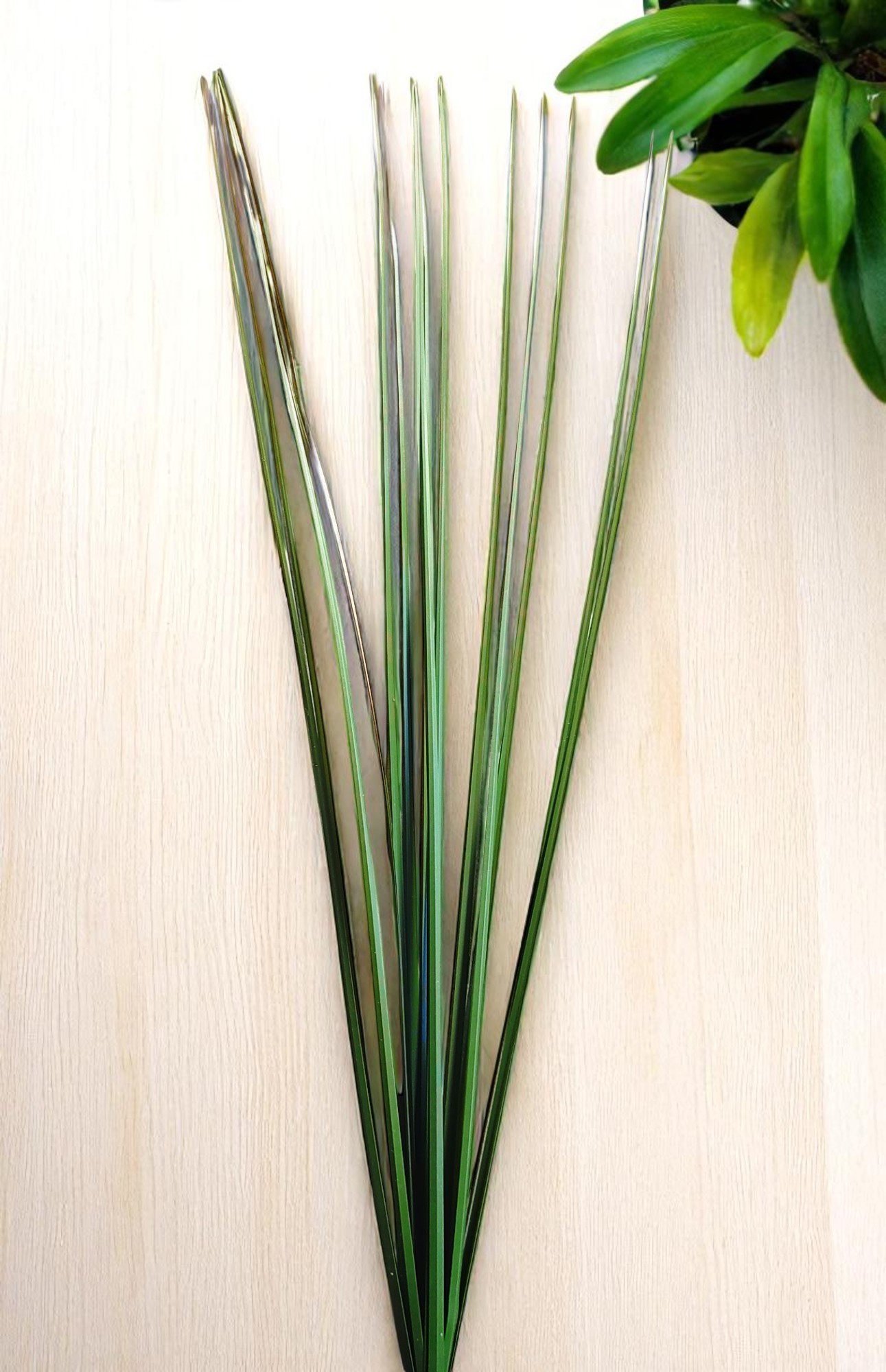 Artificial Grass Spray