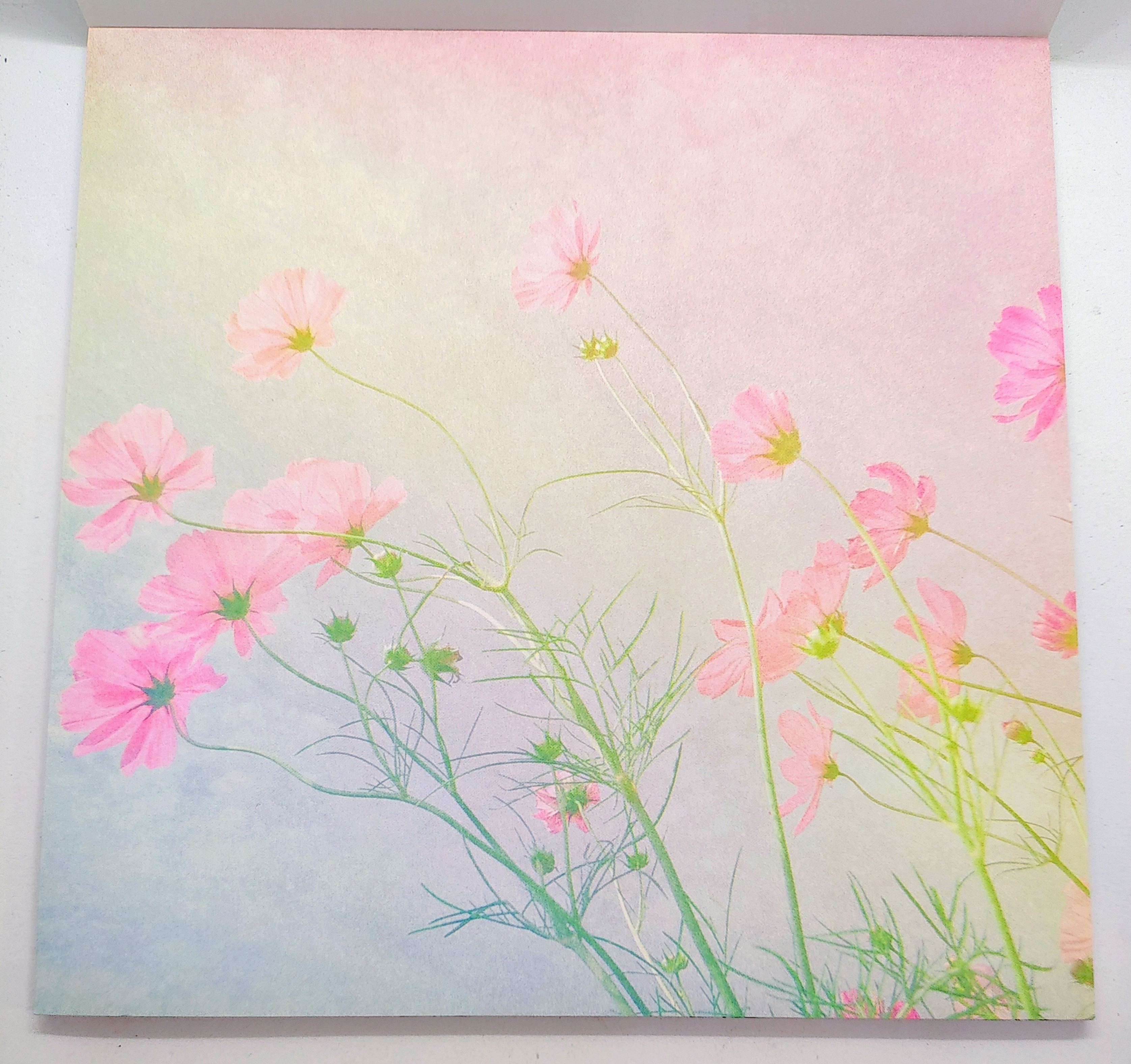 Super Chill Spellbinders Paper Pad of 6 x 6 Scrapbook Paper