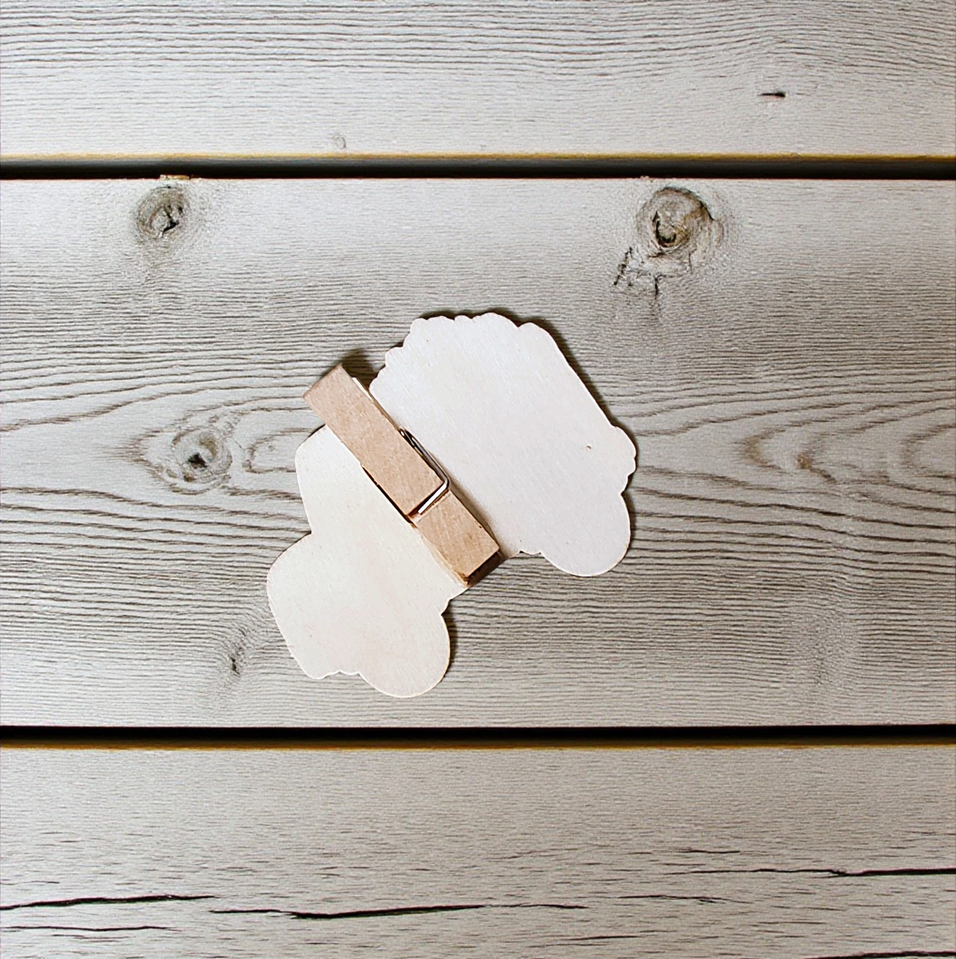 Cute Small Wooden Autumn Truck Clothespins