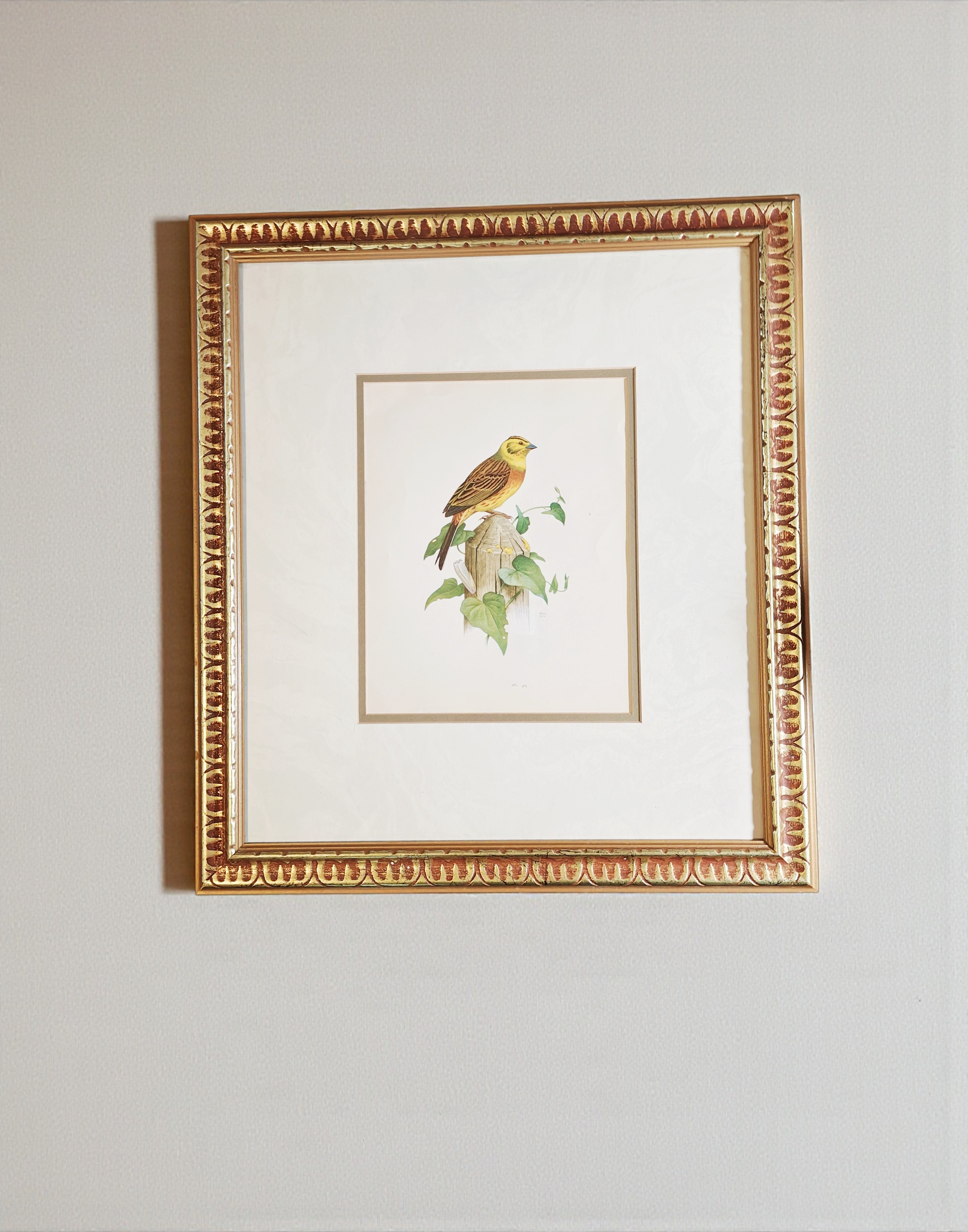 Large Vintage Gold Framed Yellowhammer Bird Matted Print Wall Decor