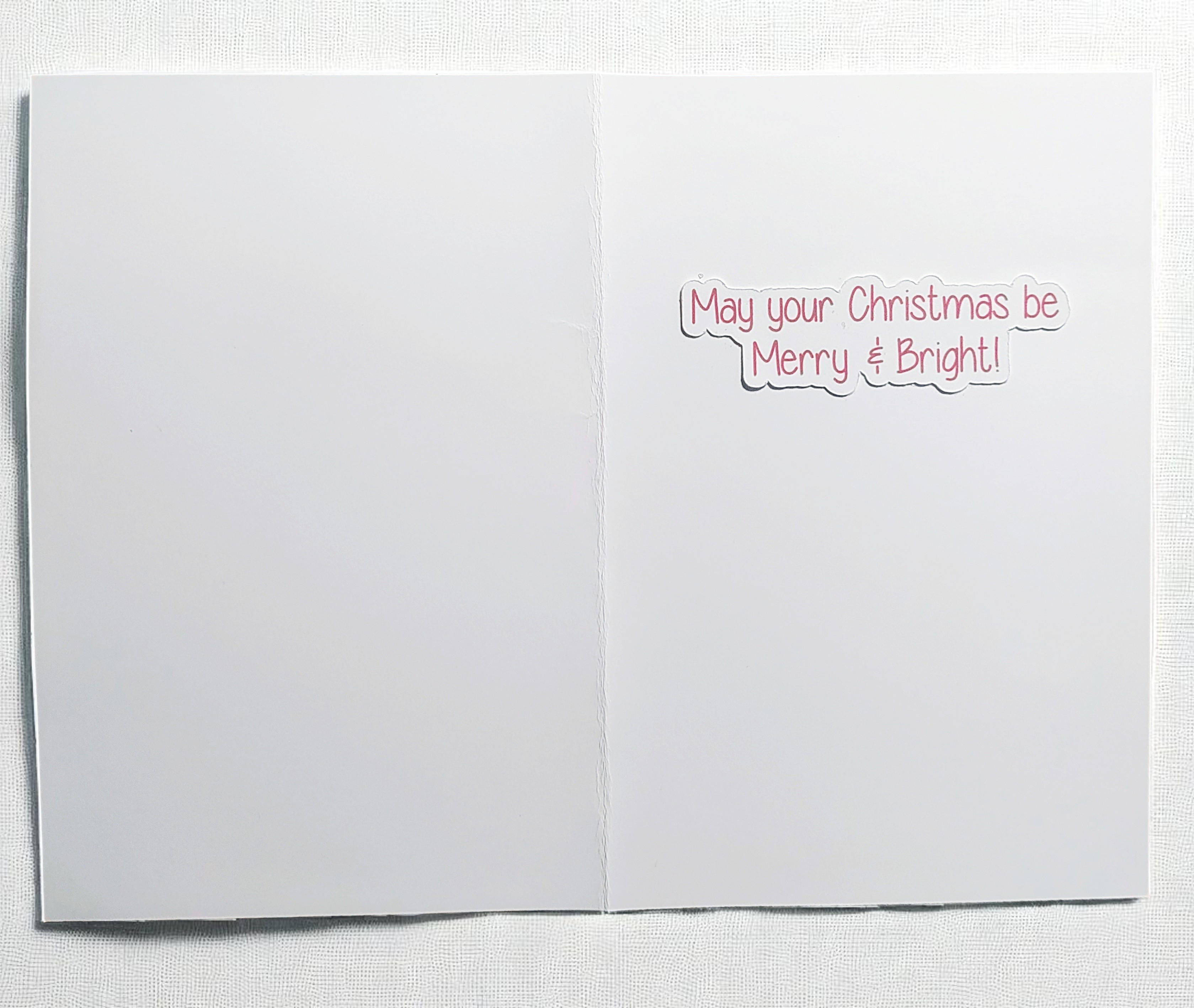 Whimsical Raccoon Christmas Greeting Card