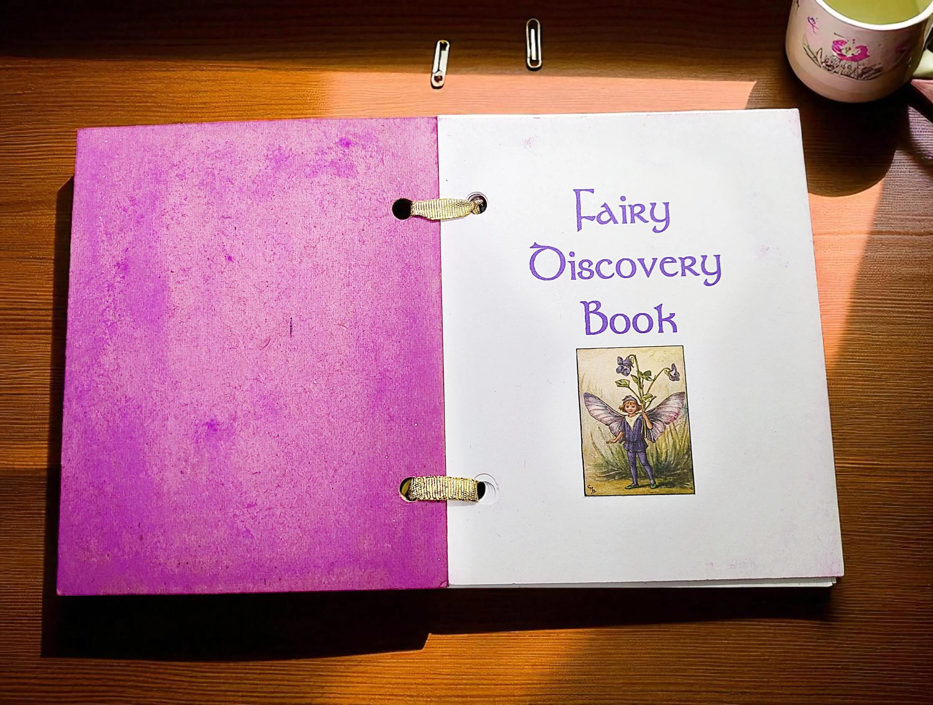 Handmade Children's Fairy Discovery Journal