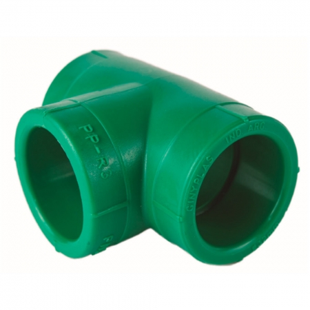 TEE Hembra Hembra Hembra