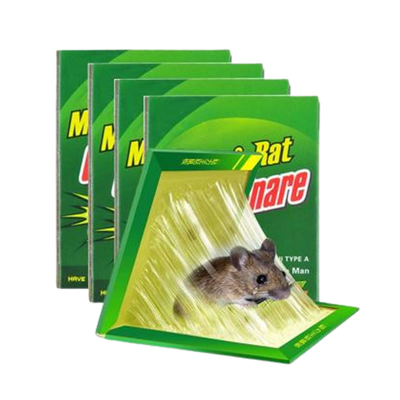 Trampa pegar rata roedores