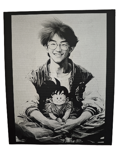 Toile DBZ