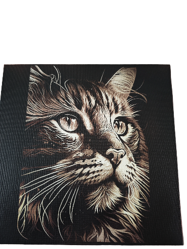 Toile Chat
