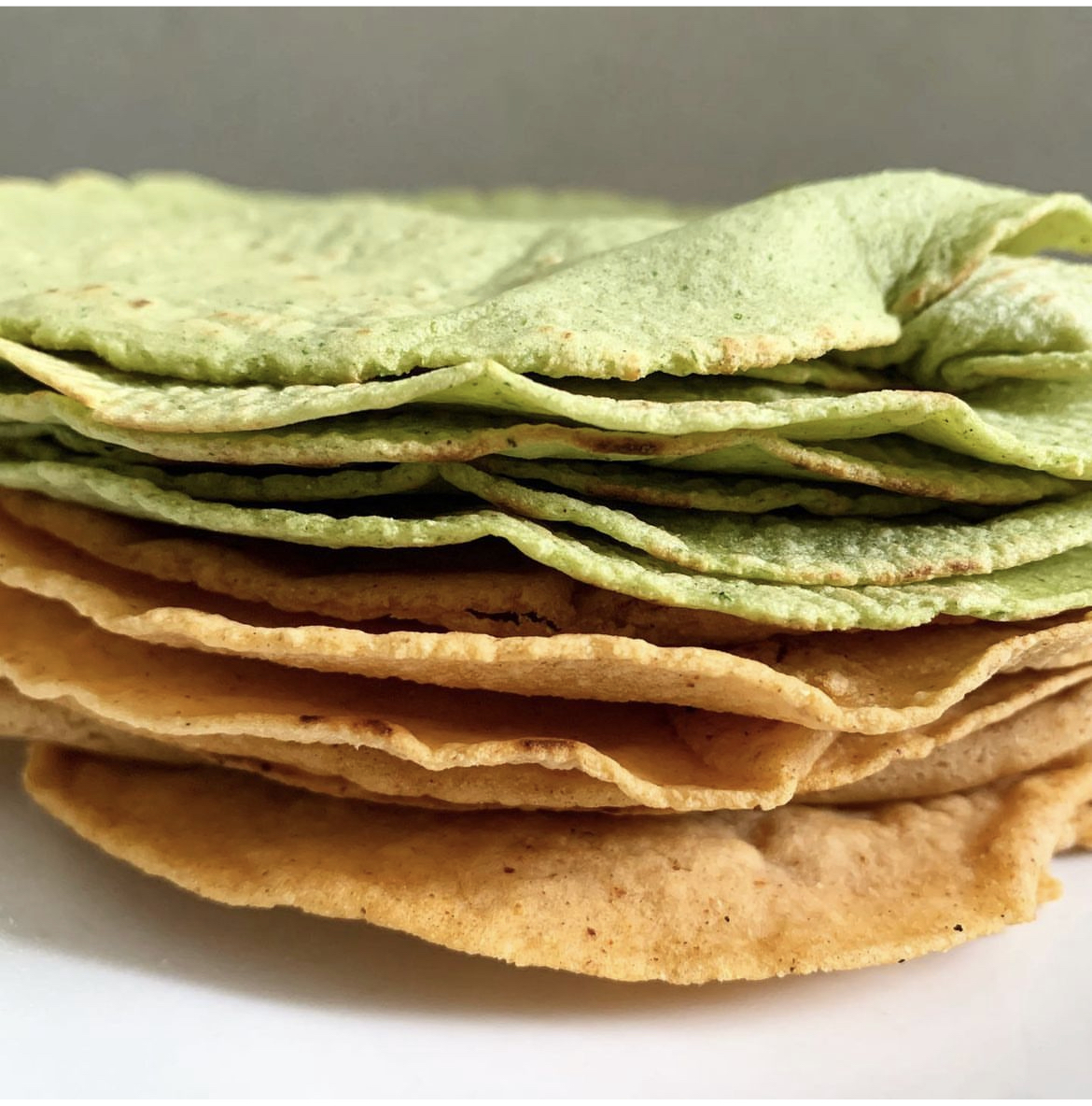 Tortilla workshop