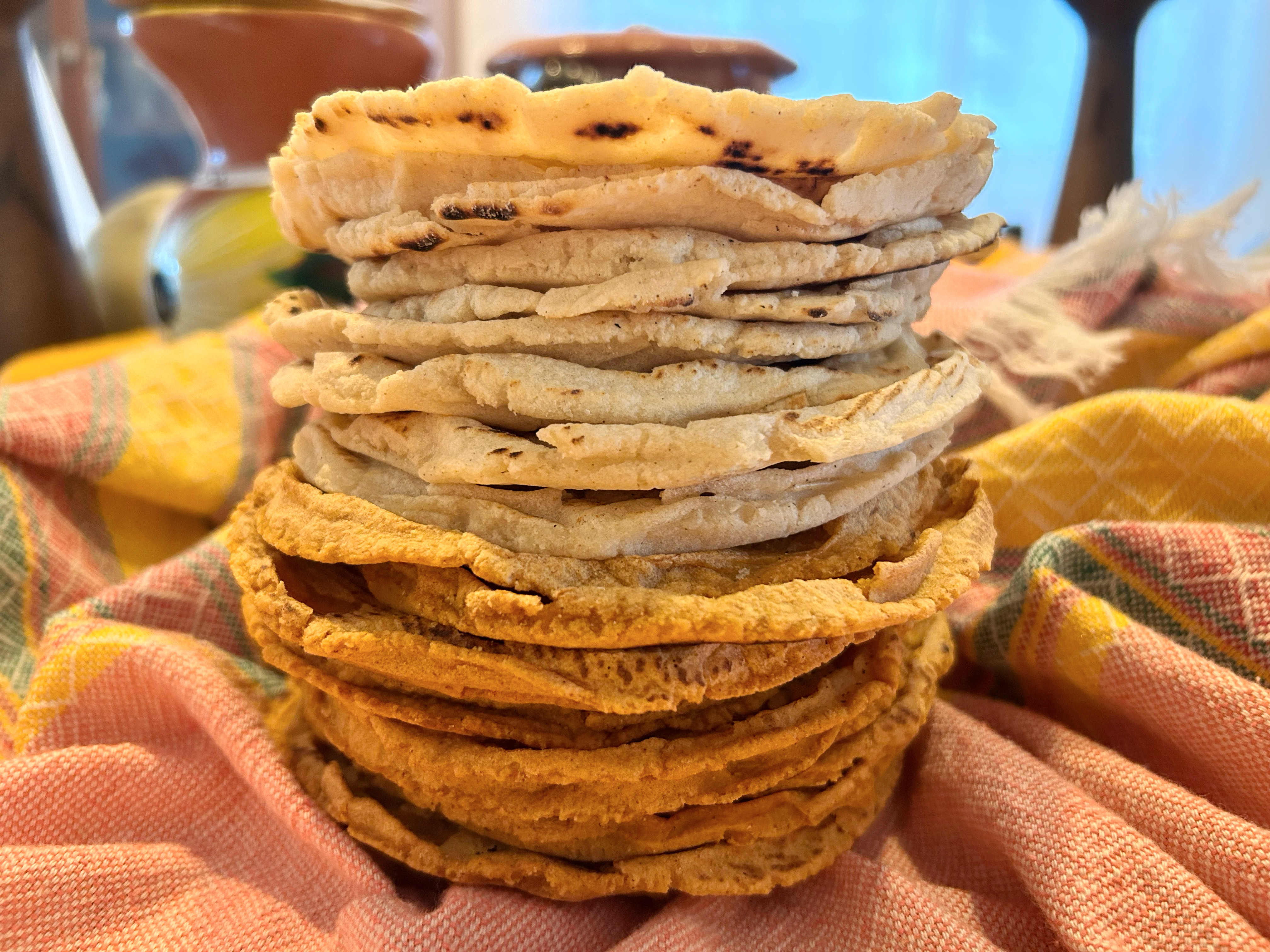 Tortilla workshop