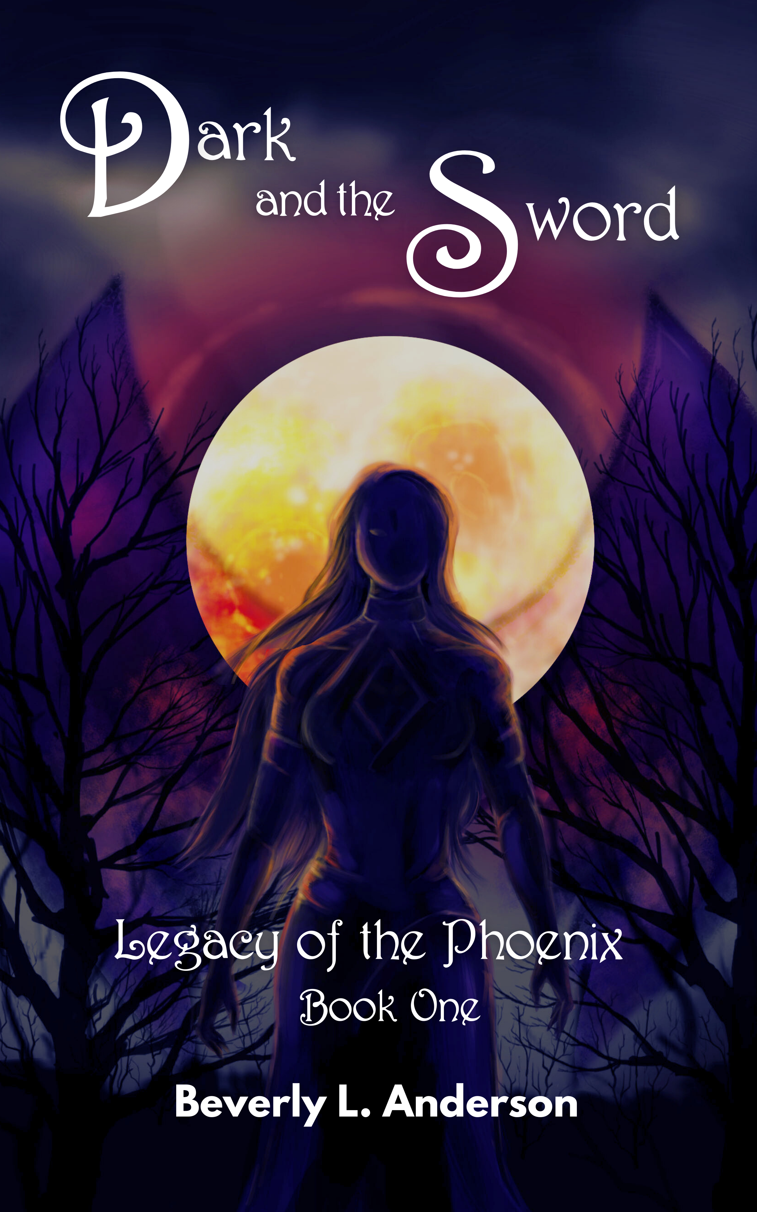 Dark and the Sword eBook