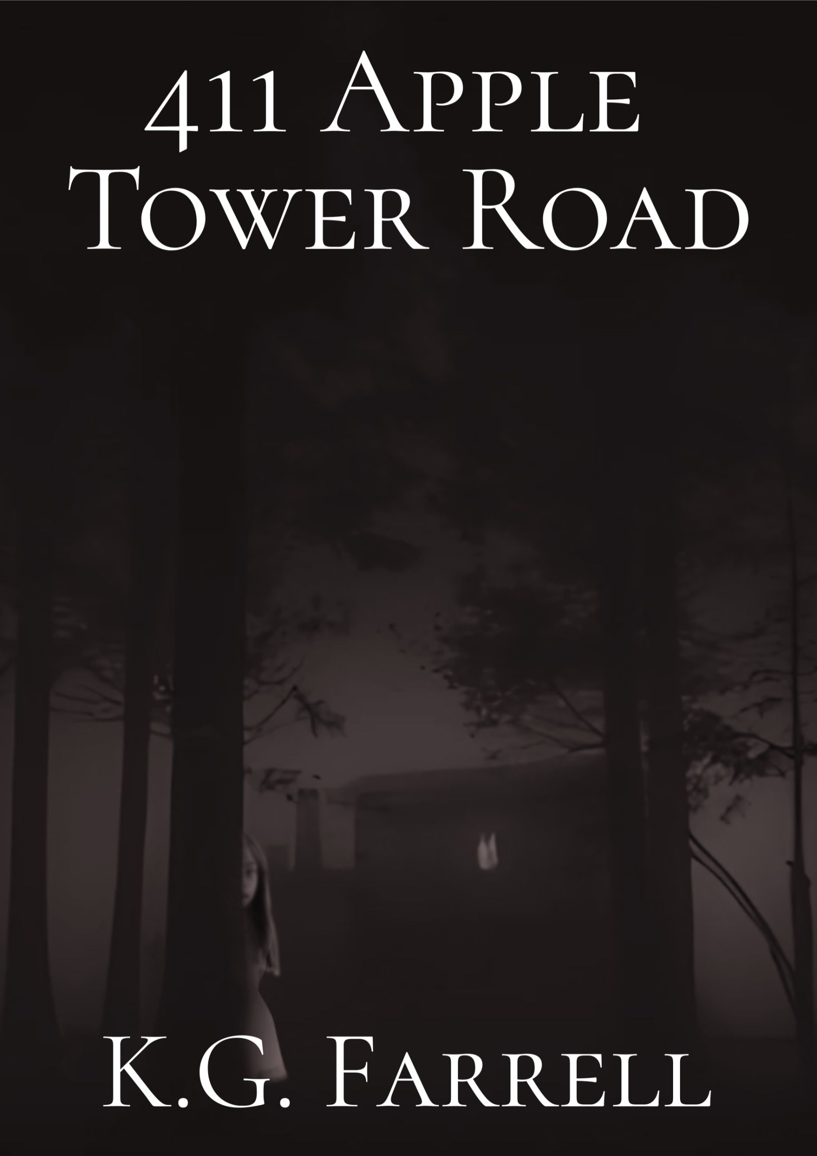 411 Apple Tower Road