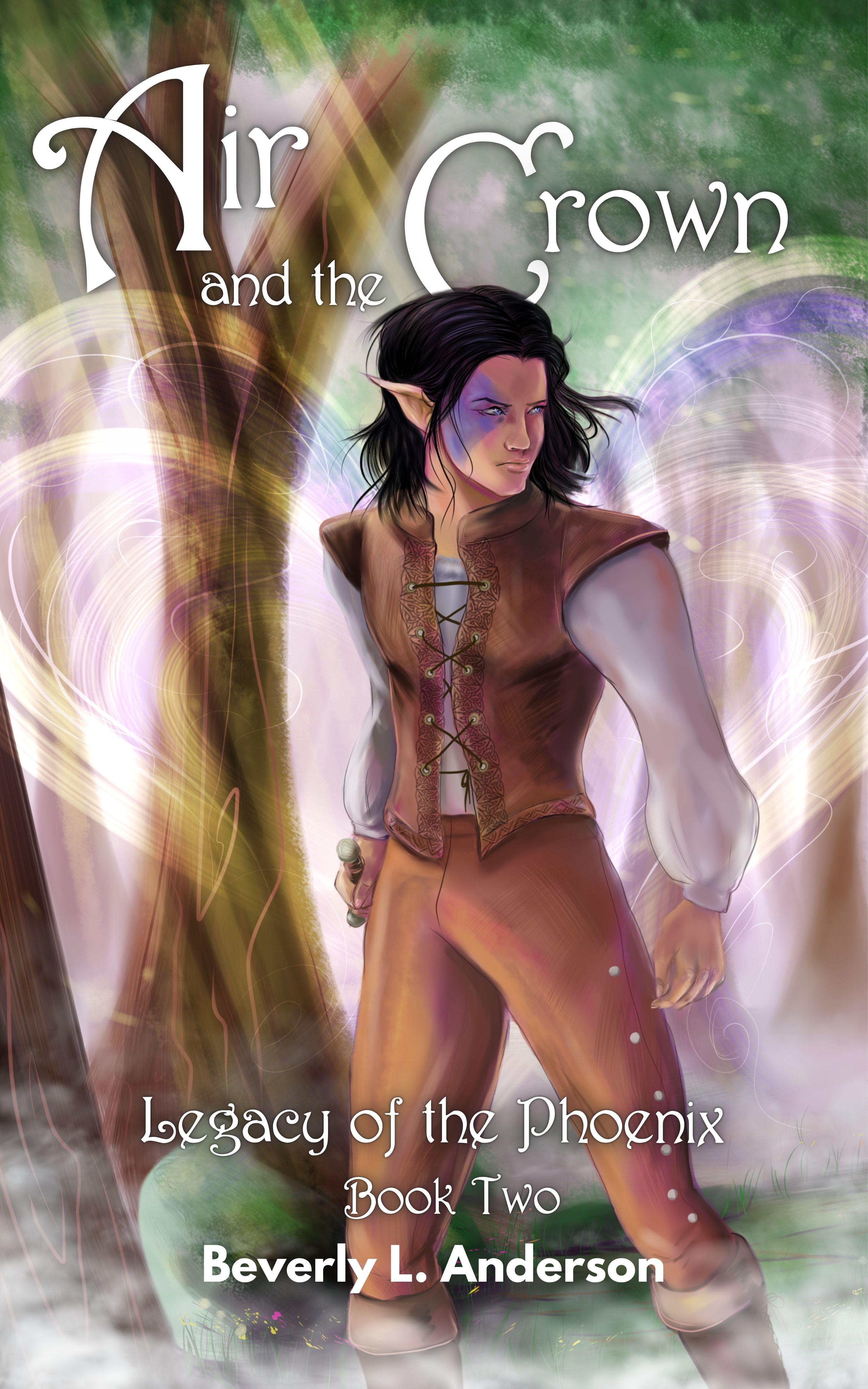 Air and the Crown Ebook