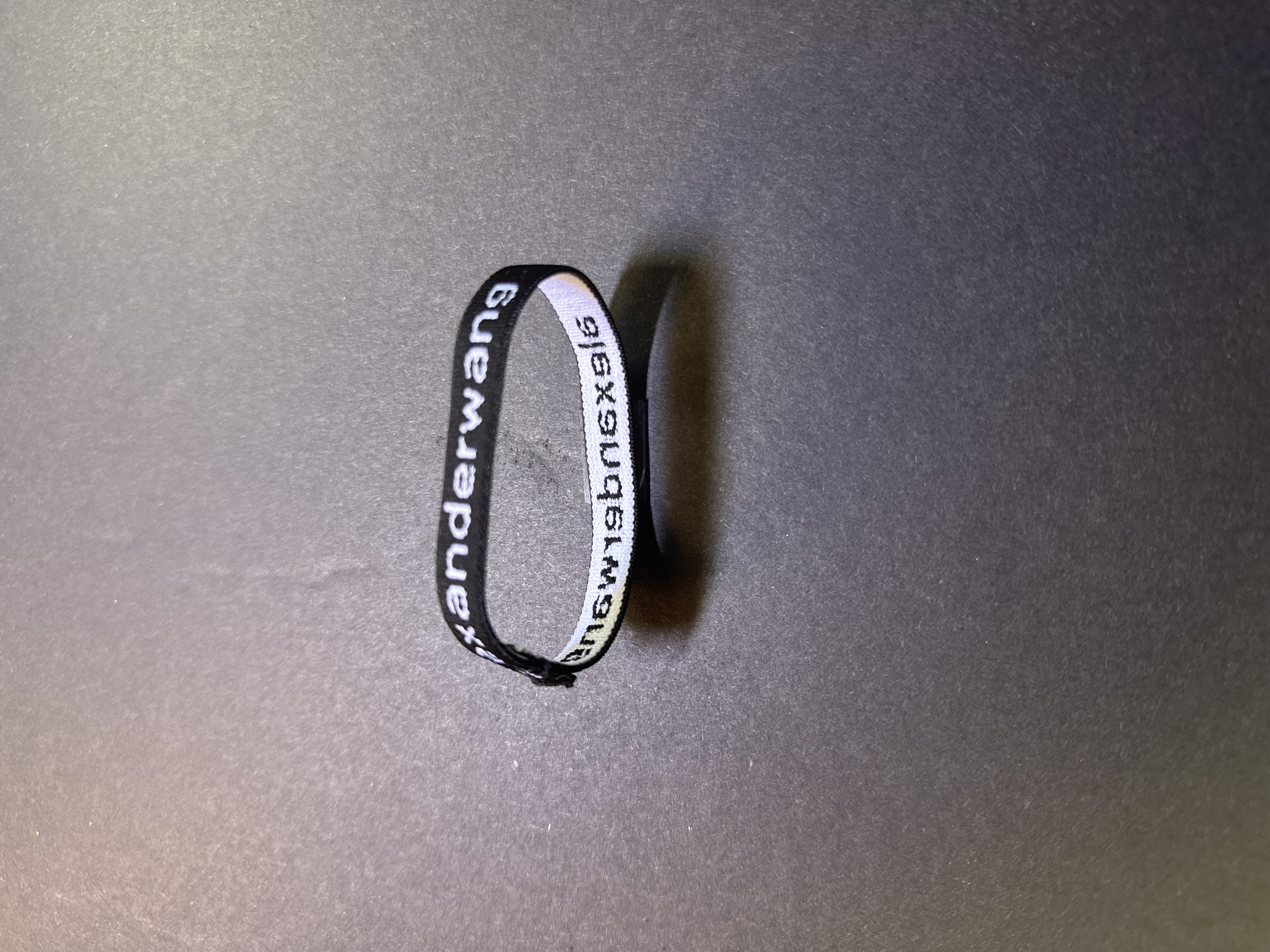 Hair elastic AlexanderWang