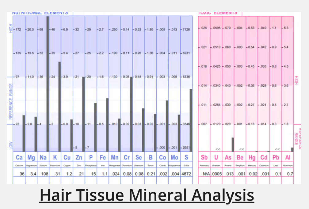 Hair Tissue Mineral Analysis + 60 Minutes Counsultation Gift Card