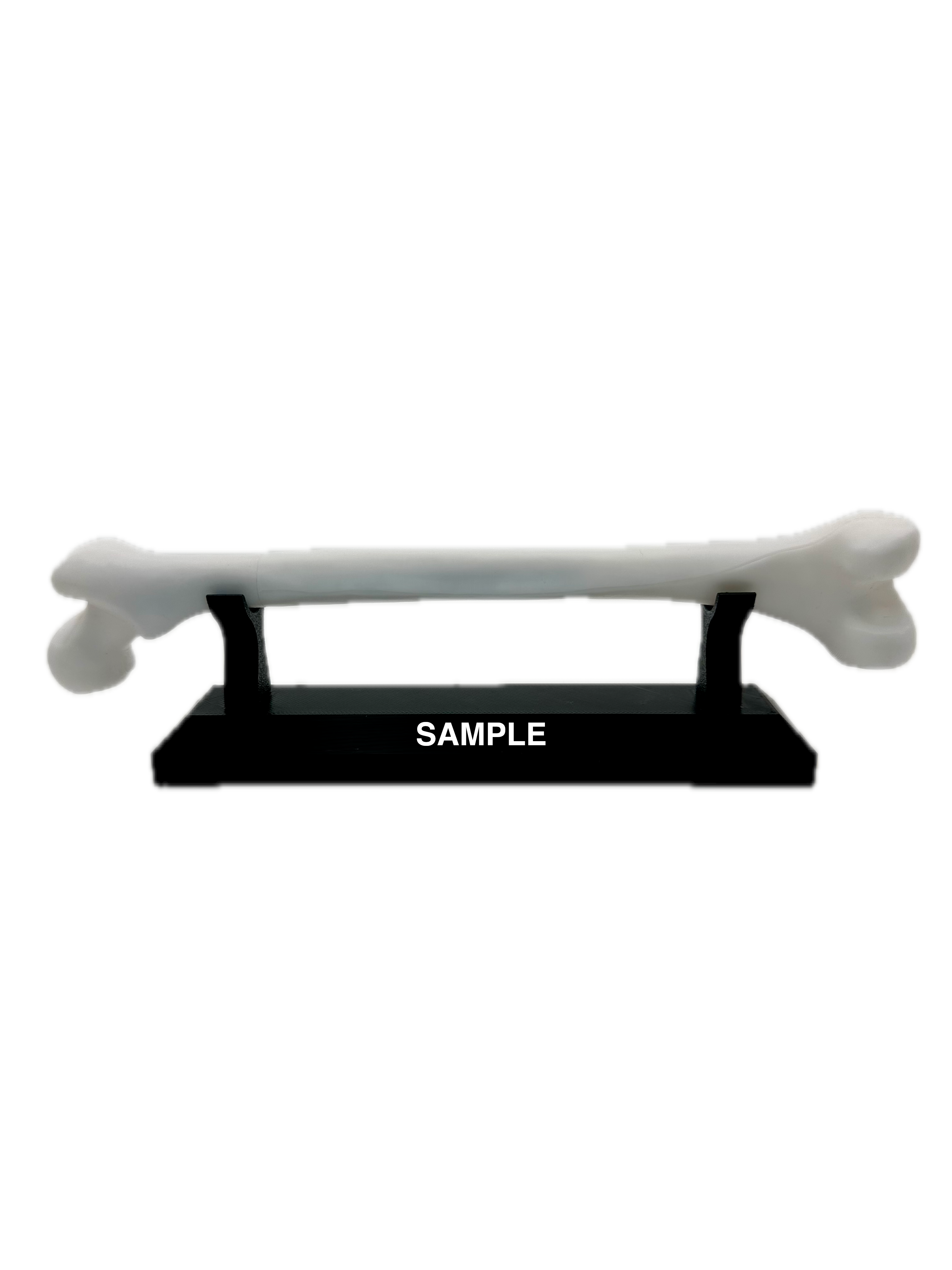 Femur (Thigh Bone) Pen