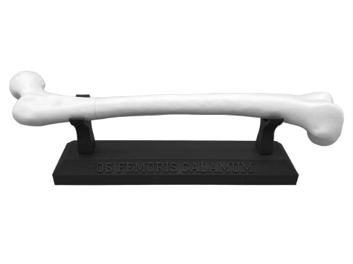 Femur (Thigh Bone) Pen