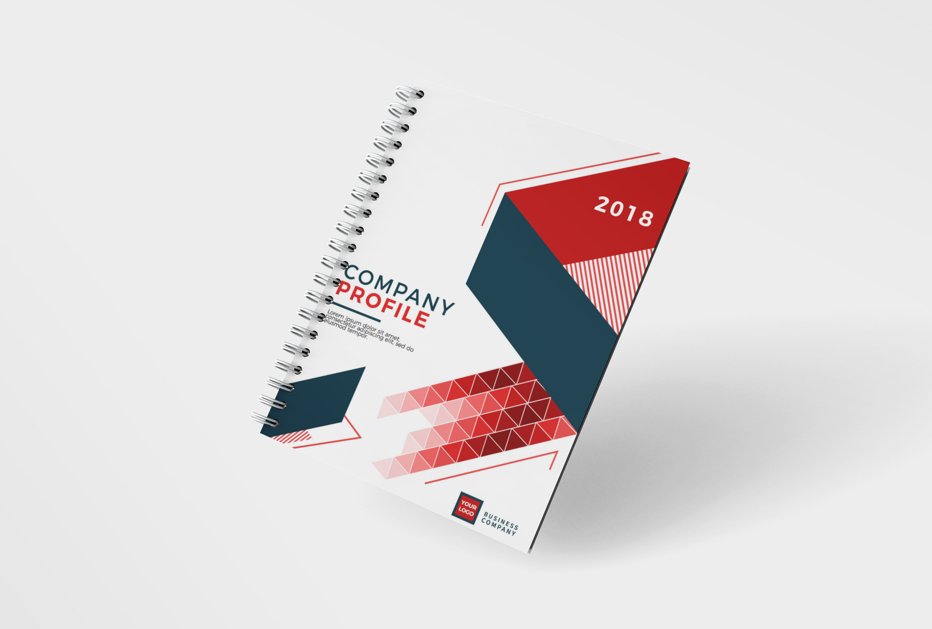 Company Profile Book