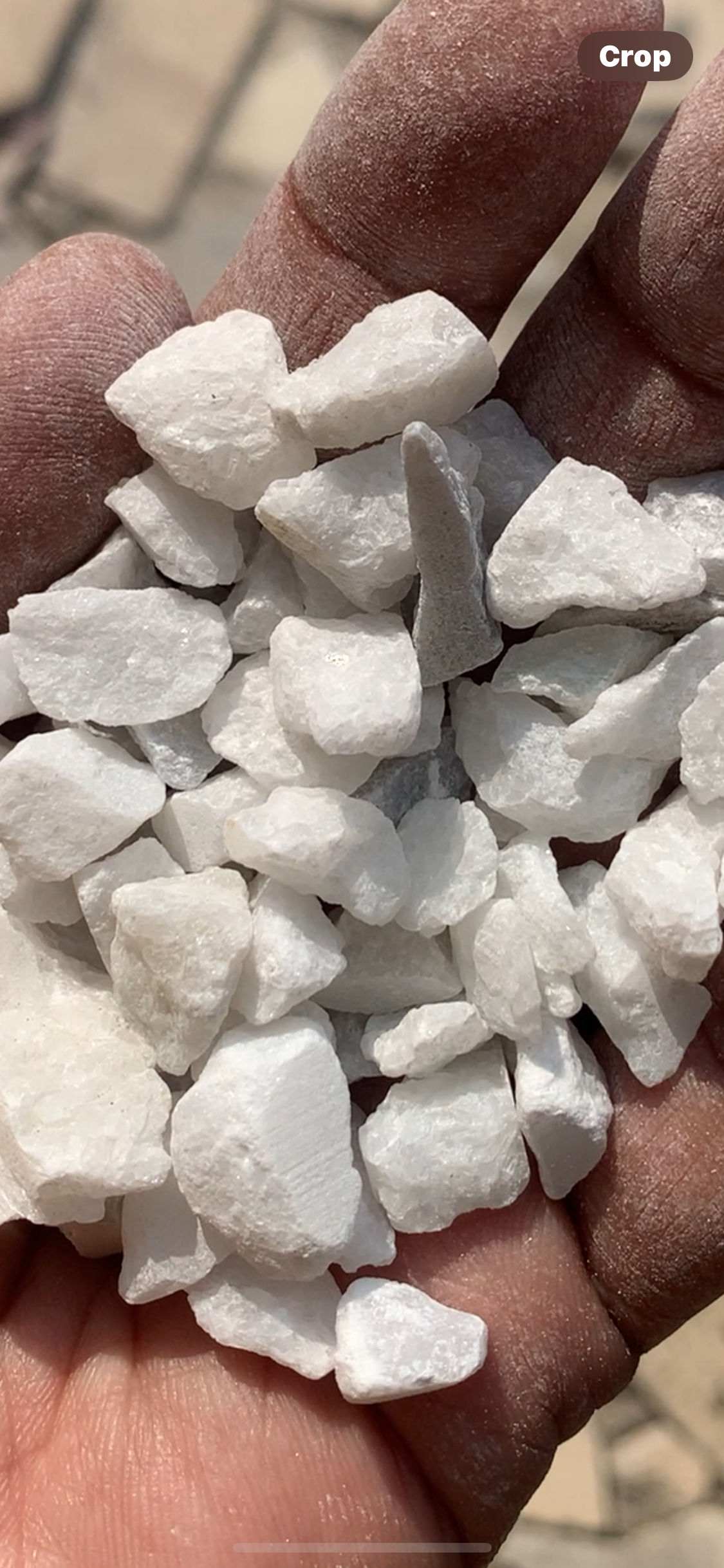 ইন্ডিয়ান মার্বেল সাদা