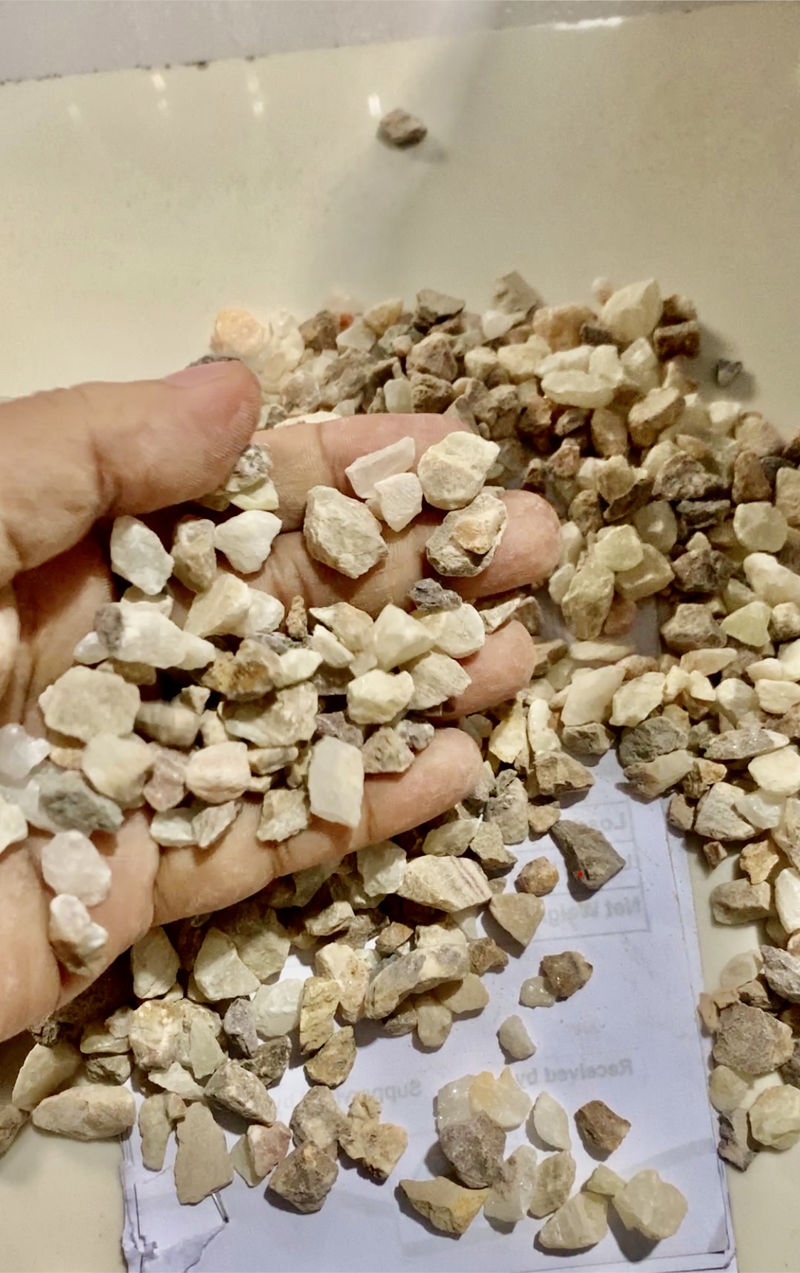 পাকিস্তানি ওনিক্স দানা 