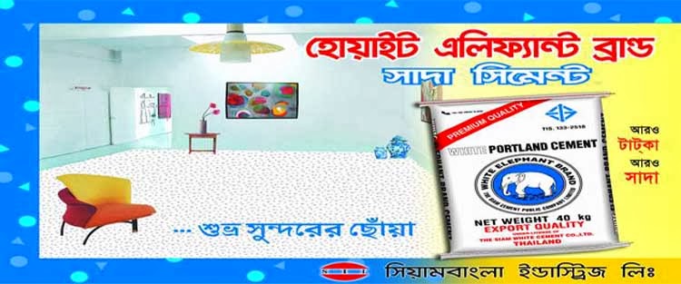 Tiger/ Elephant Brand White Cement