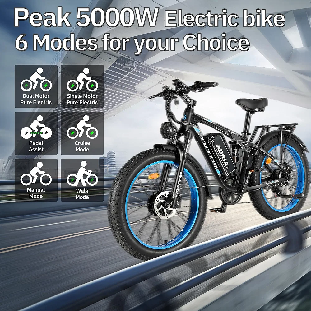 Electric Fat Tire Bike