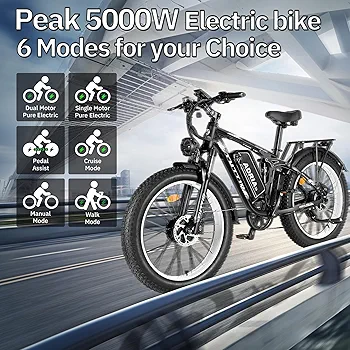  Dual Motor EBike