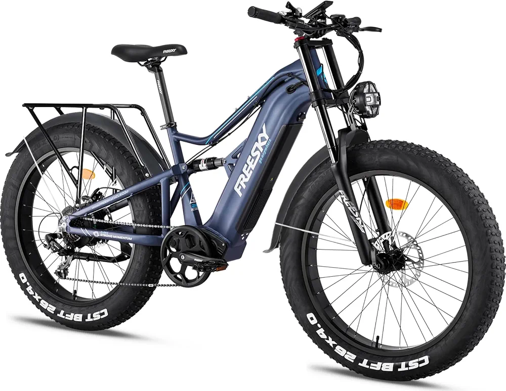 Electric Fat Tire Bike