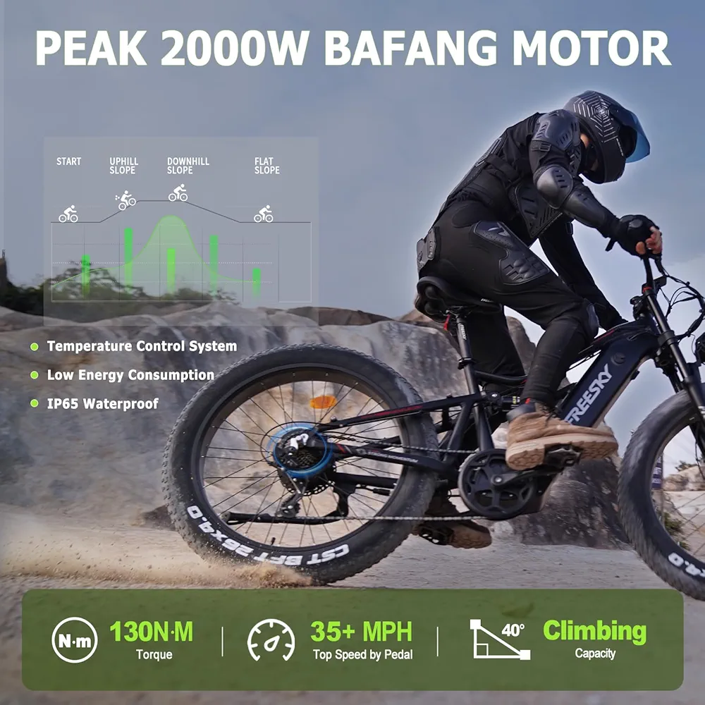 Electric Fat Tire Bike