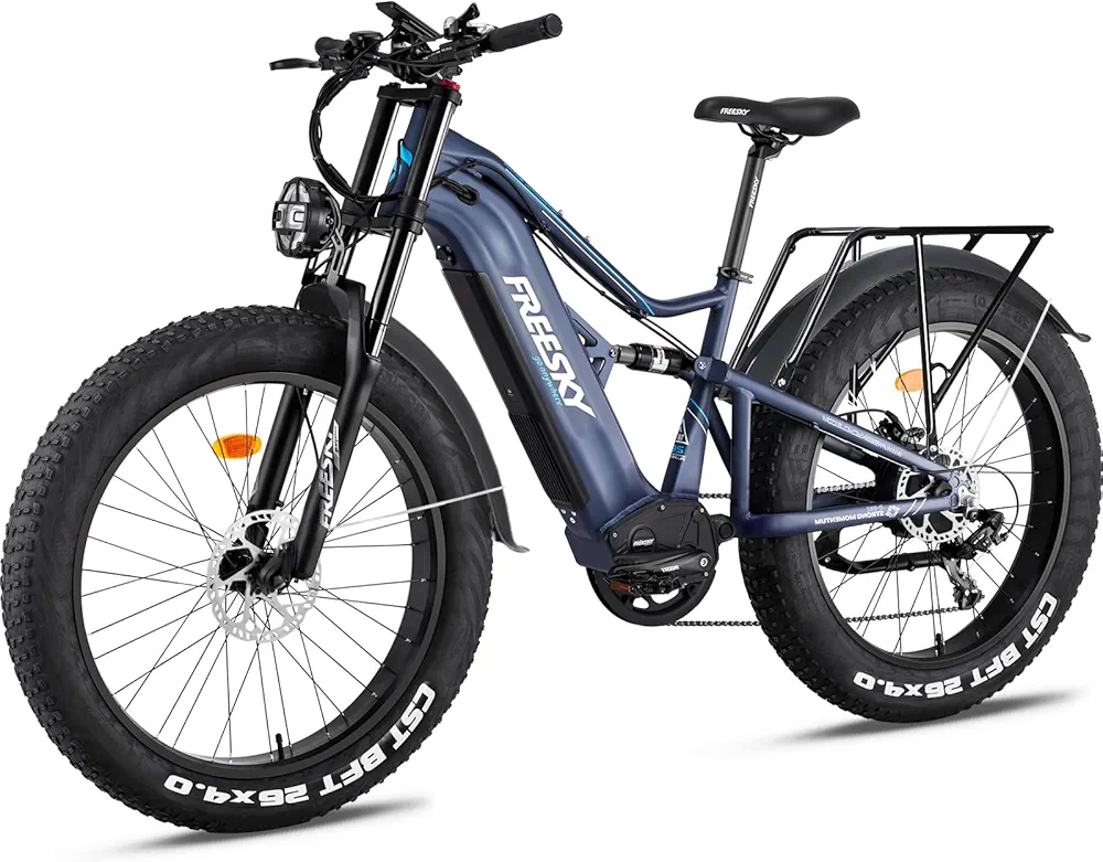 Electric Fat Tire Bike