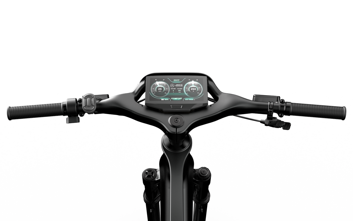 Mercedes-AMG F1 Team Rallye Edition 250 Electric Bike