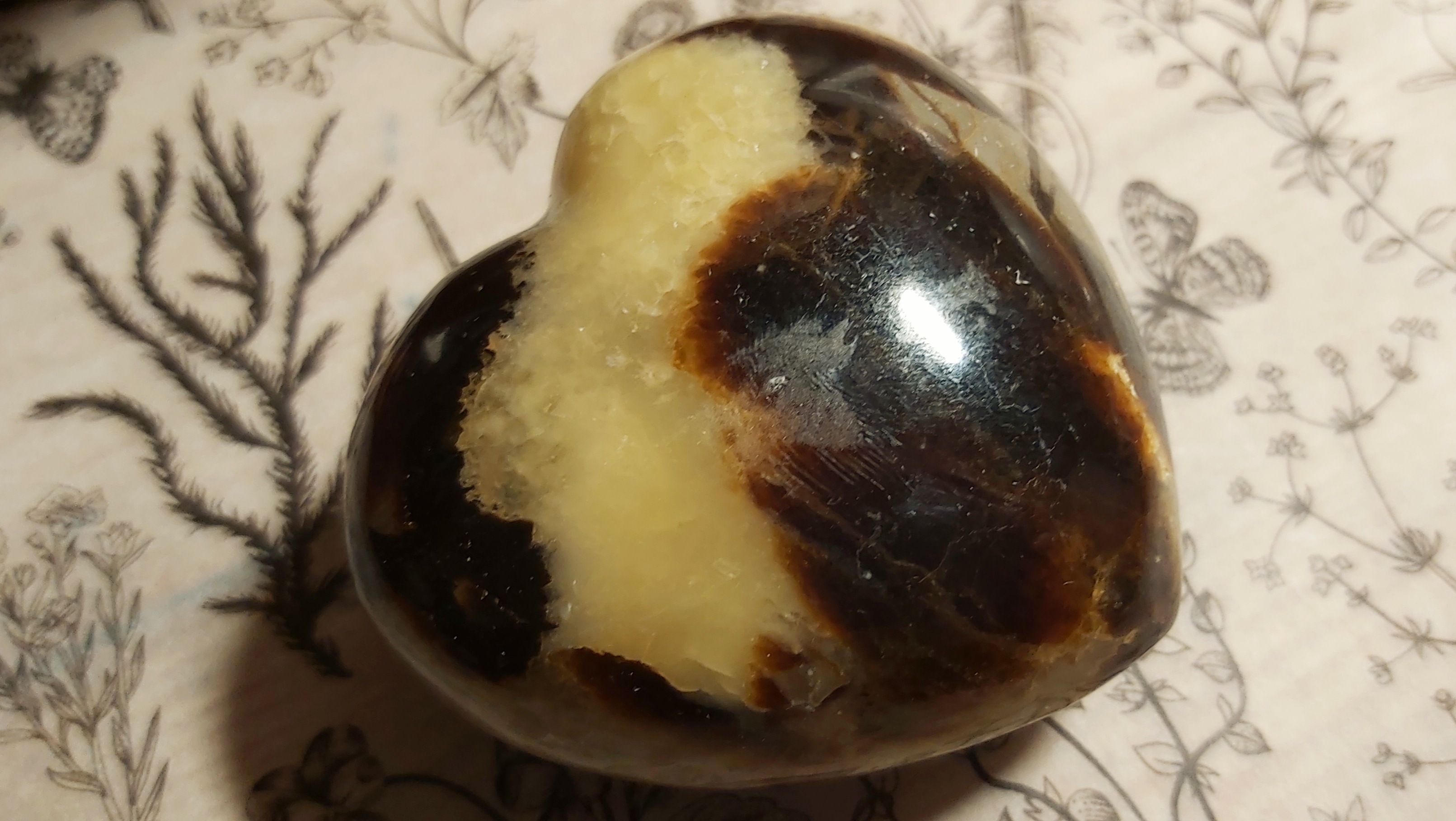 Septaria de Madagascar en forme de cœur